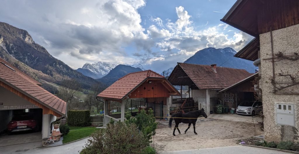 Paard op boerderij in Sloveens dorp Dovje
